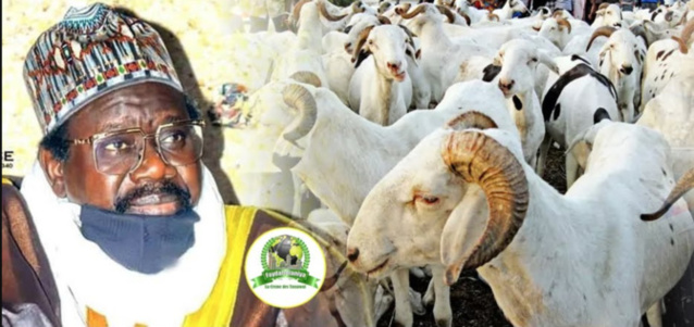 Imam Cheikh Aliou Cissé a offert plus de 580 moutons pour la Tabaski Imam Cheikh Aliou Cissé a offert plus de 580 moutons pour la Tabaski