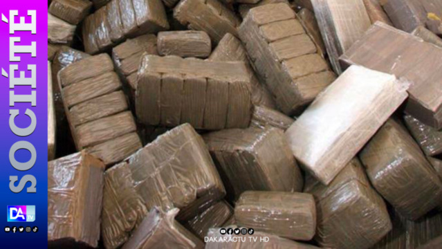 Trafic de drogue - Guédiawaye : La BIP et l’Ocrtis démantèlent « une maison du crack », 11 personnes interpellées Trafic de drogue - Guédiawaye : La BIP et l’Ocrtis démantèlent « une maison du crack », 11 personnes interpellées