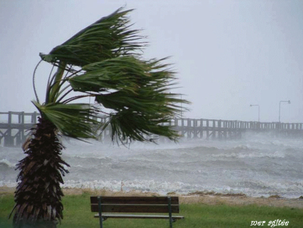 AVIS DE VENTS FORTS SUR LE LITTORAL