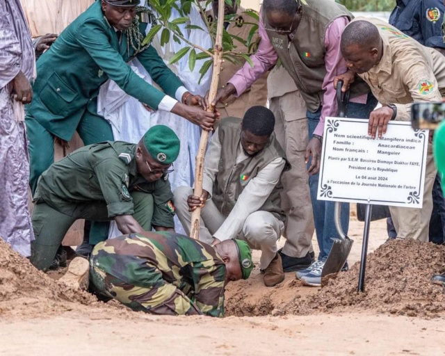 Le point sur le séjour du Président de la République du Sénégal, Bassirou Diomaye Faye, à Touba Le point sur le séjour du Président de la République du Sénégal, Bassirou Diomaye Faye, à Touba