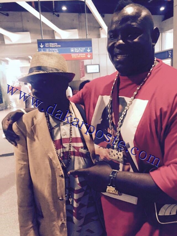 Les Lutteurs répondent à l'appel du promoteur Alioune Petit Mbaye à l'occasion de sa soirée 'Sargal' qui se tient à Paris. Voici quelques images Les Lutteurs répondent à l'appel du promoteur Alioune Petit Mbaye à l'occasion de sa soirée 'Sargal' qui se tient à Paris. Voici quelques images