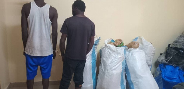 Joal : 2 trafiquants arrêtés par l'OCRTIS avec 115 kg de chanvre indien Joal : 2 trafiquants arrêtés par l'OCRTIS avec 115 kg de chanvre indien