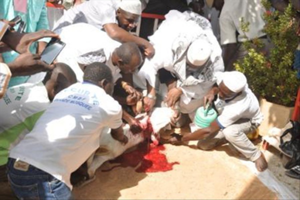 Urgent: La Tabaski sera célébrée le vendredi 25 septembre 2015 (officiel) Urgent: La Tabaski sera célébrée le vendredi 25 septembre 2015 (officiel)