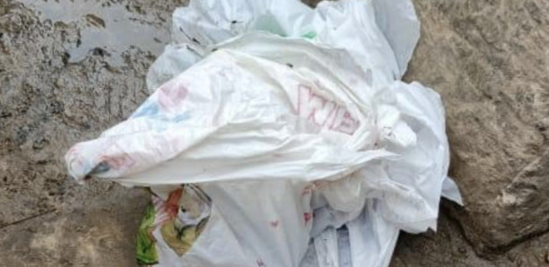 Grande Mosquée de Dakar : Une nouveau-né retrouvé mort dans un sachet en plastique Grande Mosquée de Dakar : Une nouveau-né retrouvé mort dans un sachet en plastique