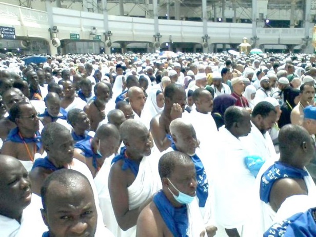 Attention au supplice des "Hajj" ! Attention au supplice des "Hajj" !