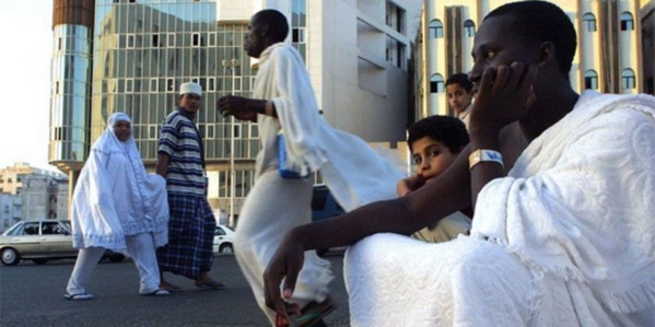 Amadou Kébé, coordonnateur de la cellule sur le bilan de 61 morts à Mina : «Les chiffres peuvent évoluer d'un moment à l'autre» Amadou Kébé, coordonnateur de la cellule sur le bilan de 61 morts à Mina : «Les chiffres peuvent évoluer d'un moment à l'autre»