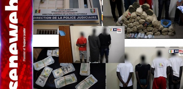 Descente policière à Yoff et aux Maristes : La DIC arrête 7 trafiquants avec 454 millions F CFA en faux billets et 50 kg de "yamba" Descente policière à Yoff et aux Maristes : La DIC arrête 7 trafiquants avec 454 millions F CFA en faux billets et 50 kg de "yamba"