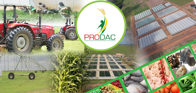 Scandale PRODAC- Khadim Ba encore extrait de sa cellule de prison pour une nouvelle audition à la DIC... Mamina Daffé et Ibrahima Cissé finalement déférés Scandale PRODAC- Khadim Ba encore extrait de sa cellule de prison pour une nouvelle audition à la DIC... Mamina Daffé et Ibrahima Cissé finalement déférés