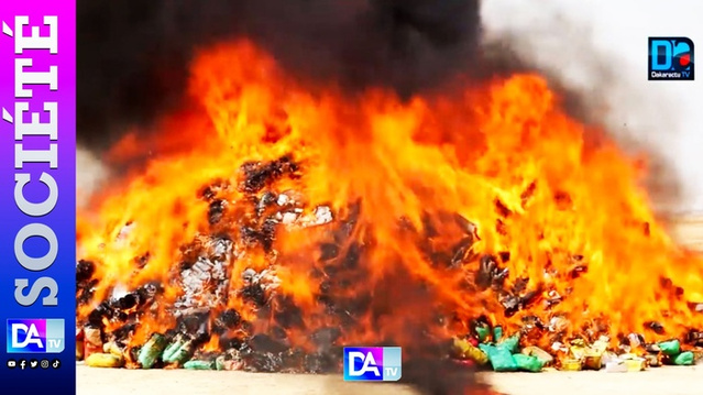 Saint-Louis : 260 millions de produits frauduleux partent en fumée Saint-Louis : 260 millions de produits frauduleux partent en fumée