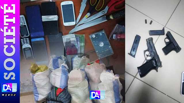  Coup de filet à Ouakam et Yarakh : L’OCRTIS frappe fort avec une saisie de 225 kg de chanvre indien et plusieurs arrestations