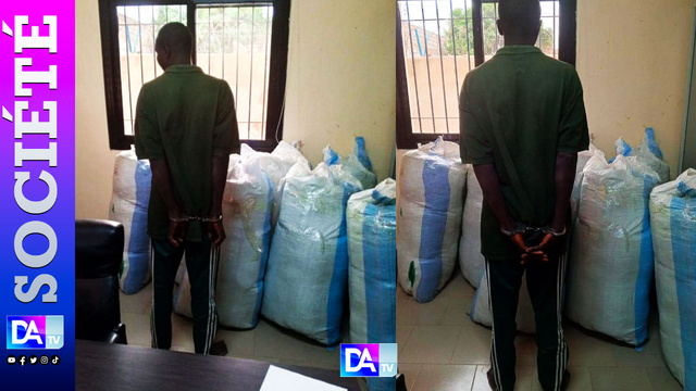 Opération coup de filet à Mbour : 220 kg de drogue saisis, un trafiquant sous les verrous ! Opération coup de filet à Mbour : 220 kg de drogue saisis, un trafiquant sous les verrous !