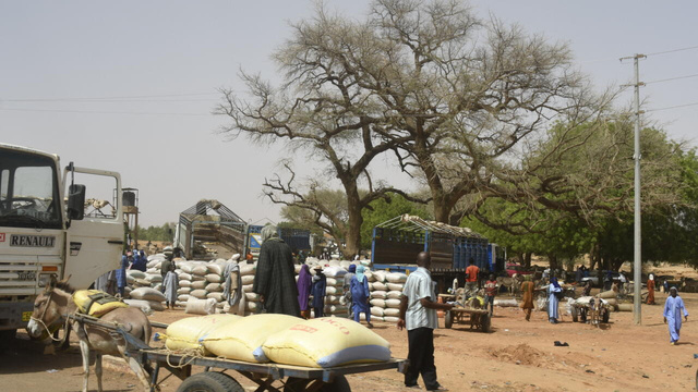 Niger: 39 villageois «assassinés» dans une double attaque près du Burkina Faso
