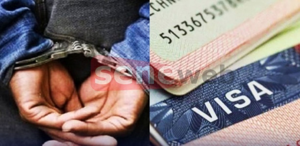 Trafic de visa : le faux ministre conseiller encaisse plus de 13 millions F Cfa, la Dic actionnée Trafic de visa : le faux ministre conseiller encaisse plus de 13 millions F Cfa, la Dic actionnée