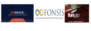 Fonsis, Fongip et Bnde : un manque d’articulation d’ensemble Fonsis, Fongip et Bnde : un manque d’articulation d’ensemble