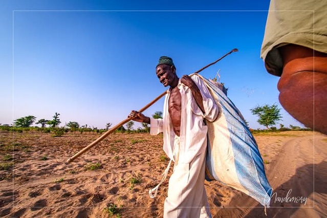 `Audience accordée à Babacar Ngom- Le coup de gueule de Toure Mandemory `Audience accordée à Babacar Ngom- Le coup de gueule de Toure Mandemory