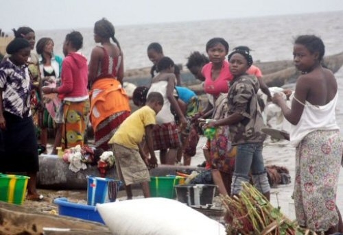 Sans eau potable, malades et enclavées Des populations du Boundou boivent l'eau du fleuve avec des ...animaux Sans eau potable, malades et enclavées Des populations du Boundou boivent l'eau du fleuve avec des ...animaux