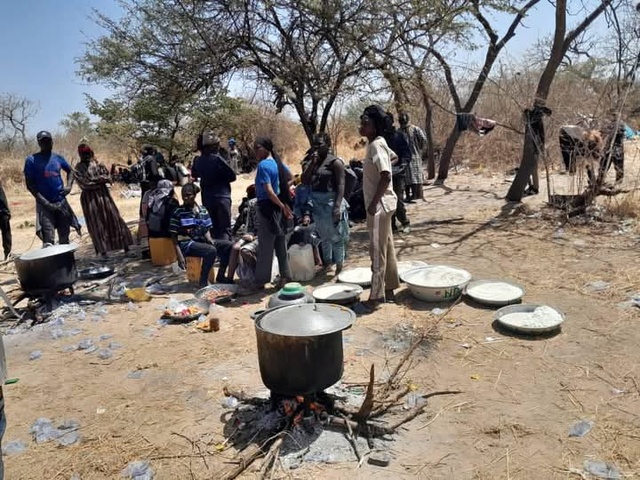 Lutte contre l'émigration irrégulière: la Gendarmerie nationale procéde à de nouvelles interpellations Lutte contre l'émigration irrégulière: la Gendarmerie nationale procéde à de nouvelles interpellations