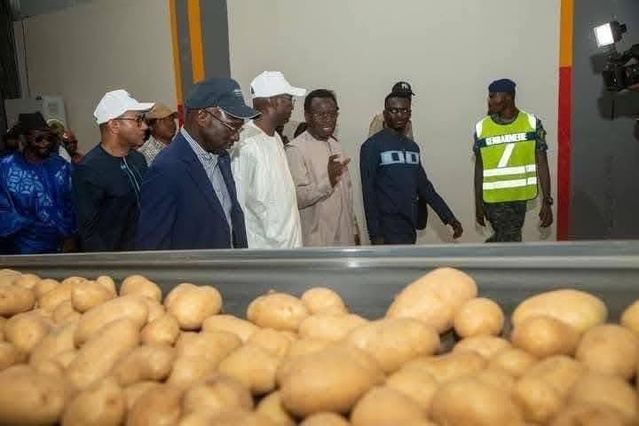 Swami Agri : De Macky à Diomaye, la soumission à l’agro-business étranger continue. Swami Agri : De Macky à Diomaye, la soumission à l’agro-business étranger continue.