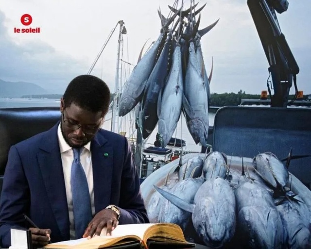 Un an de pouvoir de Diomaye : Fin des accords de pêche avec l’UE ! Un an de pouvoir de Diomaye : Fin des accords de pêche avec l’UE !