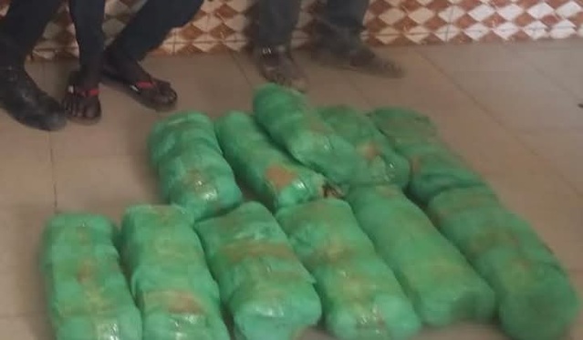 Saisie de drogue à Touba : Un individu interpellé avec 12 kg de chanvre indien. Saisie de drogue à Touba : Un individu interpellé avec 12 kg de chanvre indien.