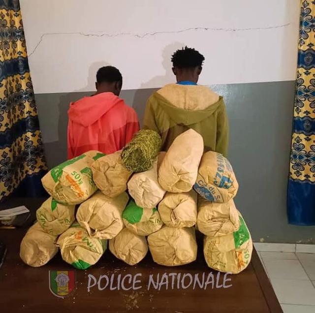 Sédhiou : 15 kg de “YAMBA” saisis, deux individus tombent dans les filets de la police Sédhiou : 15 kg de “YAMBA” saisis, deux individus tombent dans les filets de la police