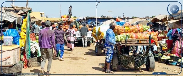 Les Maraîchers des Niayes décrètent 48 heures d’arrêt pour dénoncer la crise des prix Les Maraîchers des Niayes décrètent 48 heures d’arrêt pour dénoncer la crise des prix