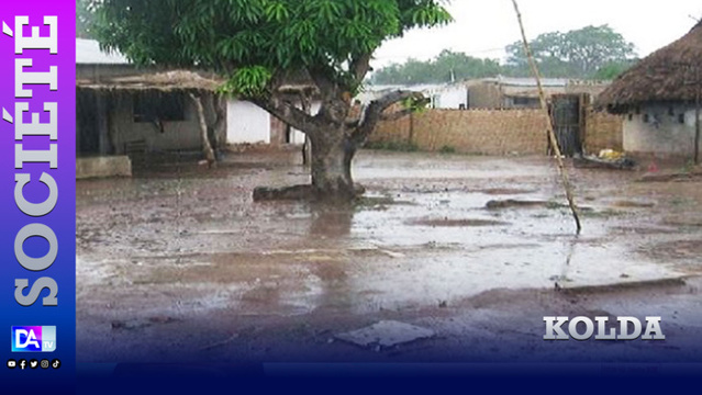 KOLDA : L'hivernage commence à s'installer... KOLDA : L'hivernage commence à s'installer...