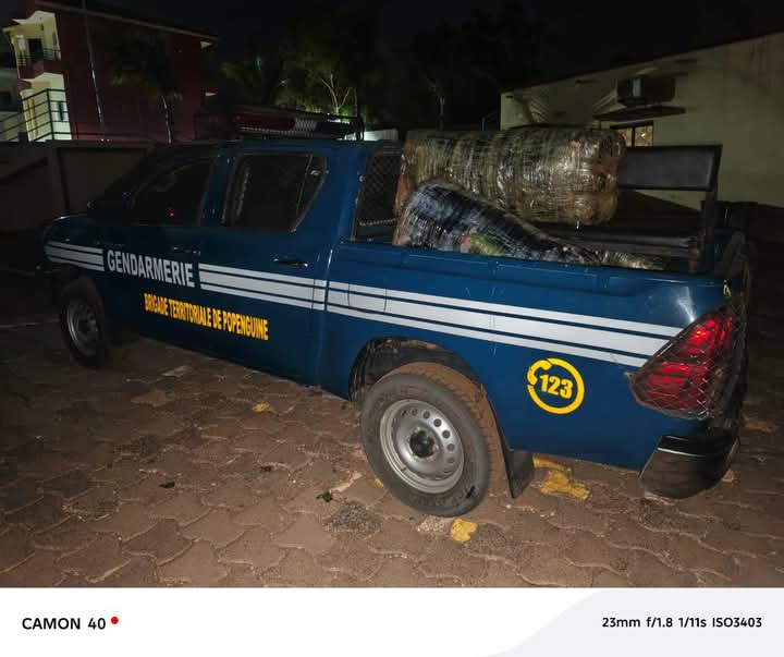Saisie de 125 Kgs de chanvre indien à Popenguine- Les dealers ploufent dans le grand bleu à l'arrivée des gendarmes Saisie de 125 Kgs de chanvre indien à Popenguine- Les dealers ploufent dans le grand bleu à l'arrivée des gendarmes