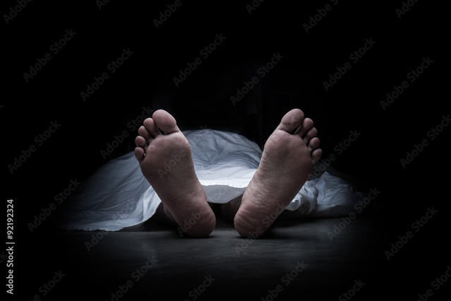 MERMOZ- Un jeune homme retrouvé mort  dans sa... voiture