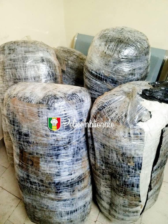 Plage de Mbaling- Saisie de 40 kg de chanvre indien Plage de Mbaling- Saisie de 40 kg de chanvre indien