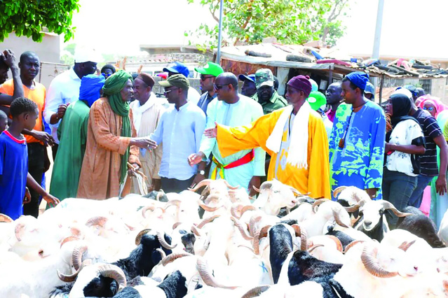 Approvisionnement en moutons pour la Tabaski : l’objectif national atteint à 102,56 % Approvisionnement en moutons pour la Tabaski : l’objectif national atteint à 102,56 %