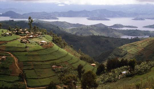 Le Rwanda quitte la Communauté économique des états de l’Afrique centrale Le Rwanda quitte la Communauté économique des états de l’Afrique centrale