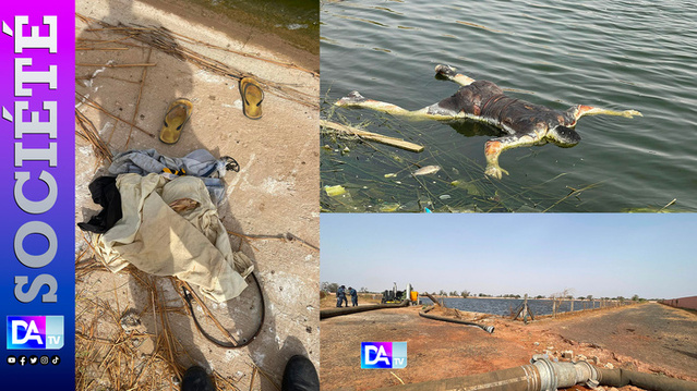 TOUBA - Mystère autour d'une mort : Le corps d'un homme retrouvé dans un bassin à Darou Rahmane TOUBA - Mystère autour d'une mort : Le corps d'un homme retrouvé dans un bassin à Darou Rahmane