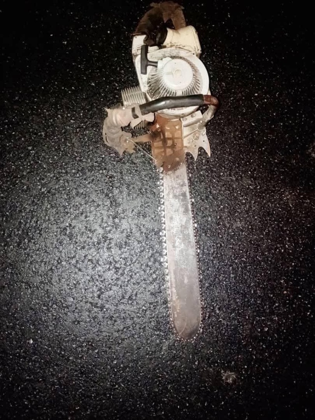 Trafic de bois à Médina Yoro Foulah : 10 personnes entre les mains de la gendarmerie Trafic de bois à Médina Yoro Foulah : 10 personnes entre les mains de la gendarmerie