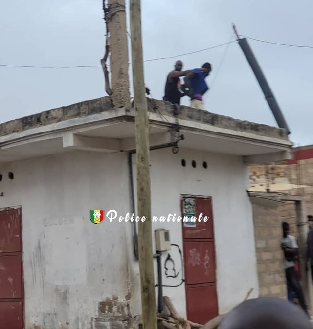 Trafic de drogue entre Bambilor et Jaxaay- 15 individus tombent ! Trafic de drogue entre Bambilor et Jaxaay- 15 individus tombent !