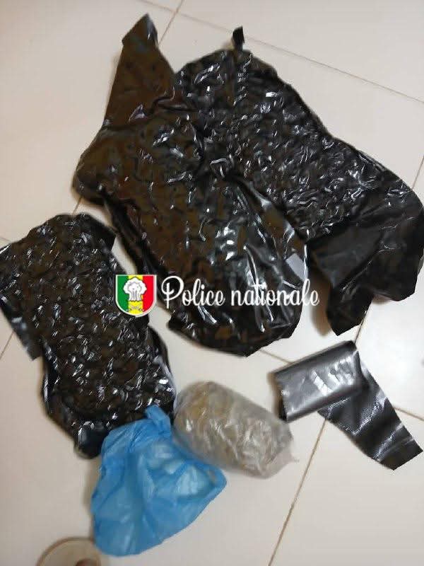 Trafic international de drogue- Trois personnes, dont un binational résidant aux États-Unis, tombent ! Trafic international de drogue- Trois personnes, dont un binational résidant aux États-Unis, tombent !
