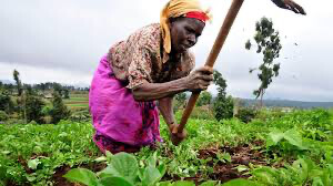 Sommet ONU de Séville: «L’agriculture a été le maillon faible des investissements» en Afrique Sommet ONU de Séville: «L’agriculture a été le maillon faible des investissements» en Afrique