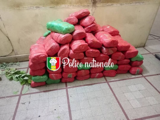 Kaolack : 82 kg de chanvre indien saisis à Keur Laly, un convoyeur interpellé, deux autres activement recherchés... Kaolack : 82 kg de chanvre indien saisis à Keur Laly, un convoyeur interpellé, deux autres activement recherchés...