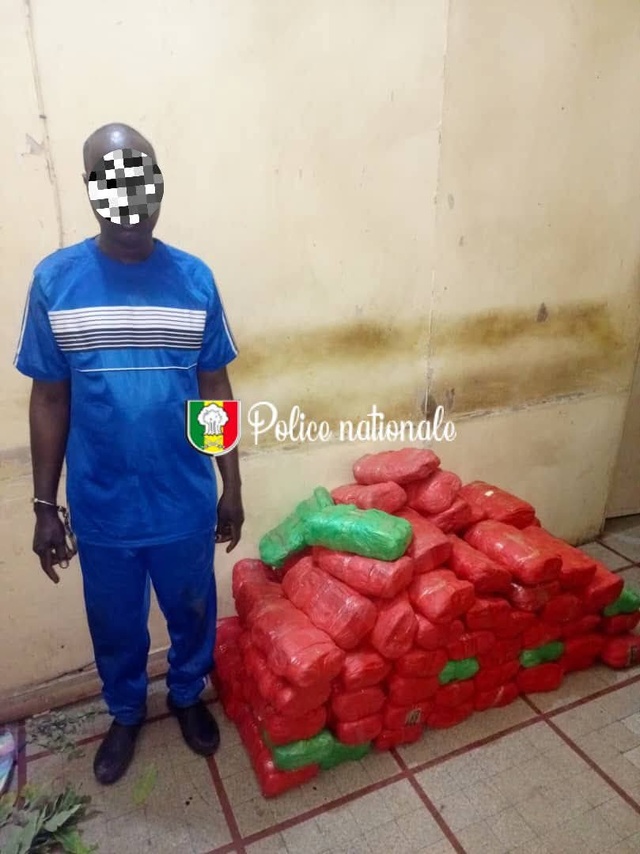 Kaolack : 82 kg de chanvre indien saisis à Keur Laly, un convoyeur interpellé, deux autres activement recherchés...
