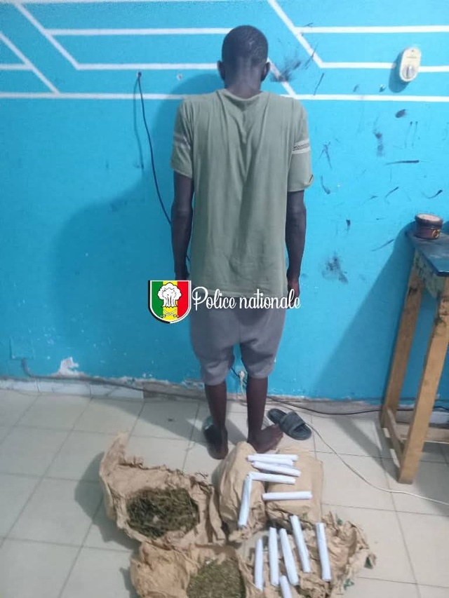 Trafic de drogue à Thiès- Un quidam tombe avec dix (10) cornets et deux (2) kilogrammes cinq cents (500) grammes de chanvre indien Trafic de drogue à Thiès- Un quidam tombe avec dix (10) cornets et deux (2) kilogrammes cinq cents (500) grammes de chanvre indien