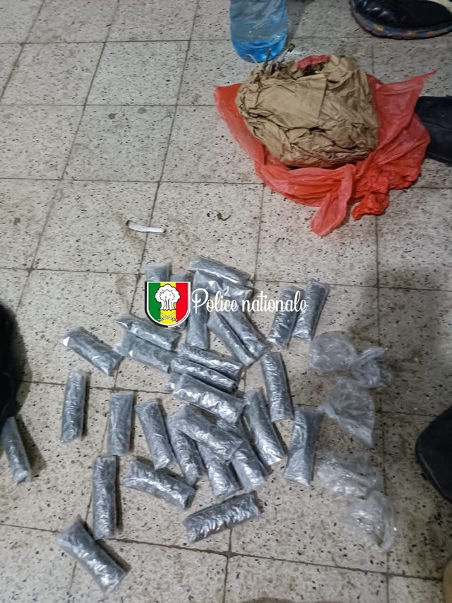 ESCROQUERIE LIÉE À Q NET , TRAFIC DE CHANVRE...- Plusieurs personnes tombent à Thiès ESCROQUERIE LIÉE À Q NET , TRAFIC DE CHANVRE...- Plusieurs personnes tombent à Thiès