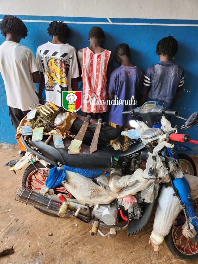 Kolda : 5 personnes arrêtées pour trafic de drogue et détention d’armes Kolda : 5 personnes arrêtées pour trafic de drogue et détention d’armes