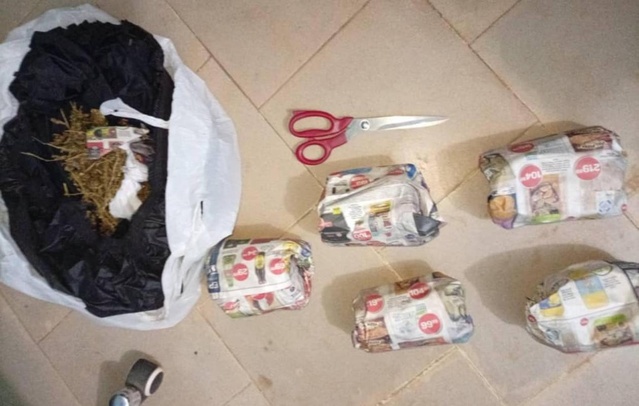 Grand Magal : Deux habitants de Pout arrêtés par la police avec 2 kg de chanvre indien à Ndamatou Grand Magal : Deux habitants de Pout arrêtés par la police avec 2 kg de chanvre indien à Ndamatou