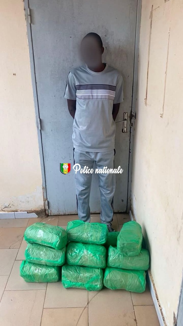 18 kilogrammes de chanvre indien dissimulés dans des sacs de maïs saisis 18 kilogrammes de chanvre indien dissimulés dans des sacs de maïs saisis