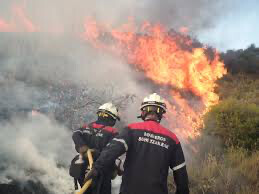 Des milliers de pompiers luttent contre les feux de forêt en Espagne et au Portugal Des milliers de pompiers luttent contre les feux de forêt en Espagne et au Portugal