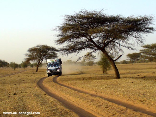 LINGUÈRE : 105.134 ÉLECTEURS ATTENDUS DANS 197 BUREAUX (PRÉFET) LINGUÈRE : 105.134 ÉLECTEURS ATTENDUS DANS 197 BUREAUX (PRÉFET)