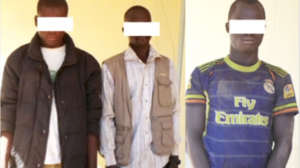 Comment la gendarmerie de Thiaroye a fait tomber un gang qui écumait entre Dakar et Thiès  Comment la gendarmerie de Thiaroye a fait tomber un gang qui écumait entre Dakar et Thiès