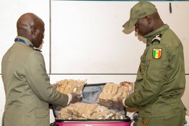 Saisie à l’AIBD : Près de 30 kg de haschich interceptés par les Douanes ! Saisie à l’AIBD : Près de 30 kg de haschich interceptés par les Douanes !