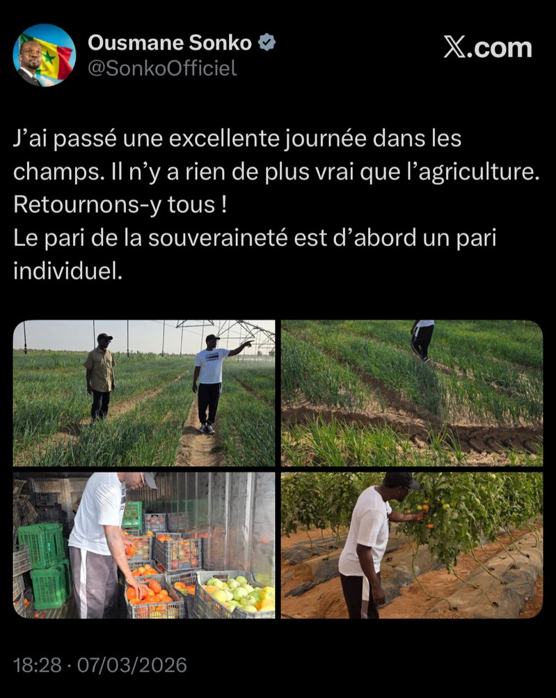 "J’ai passé une excellente journée dans..." : La sortie de Ousmane Sonko après les propos de Diomaye Faye "J’ai passé une excellente journée dans..." : La sortie de Ousmane Sonko après les propos de Diomaye Faye