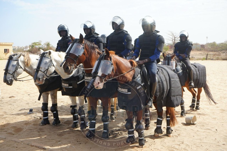MAINTIEN DE L’ORDRE : LA GENDARMERIE RENFORCE LES CAPACITÉS DE SES UNITÉS DE CAVALERIE MAINTIEN DE L’ORDRE : LA GENDARMERIE RENFORCE LES CAPACITÉS DE SES UNITÉS DE CAVALERIE